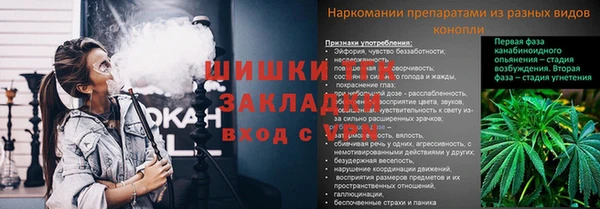 винт Алексин